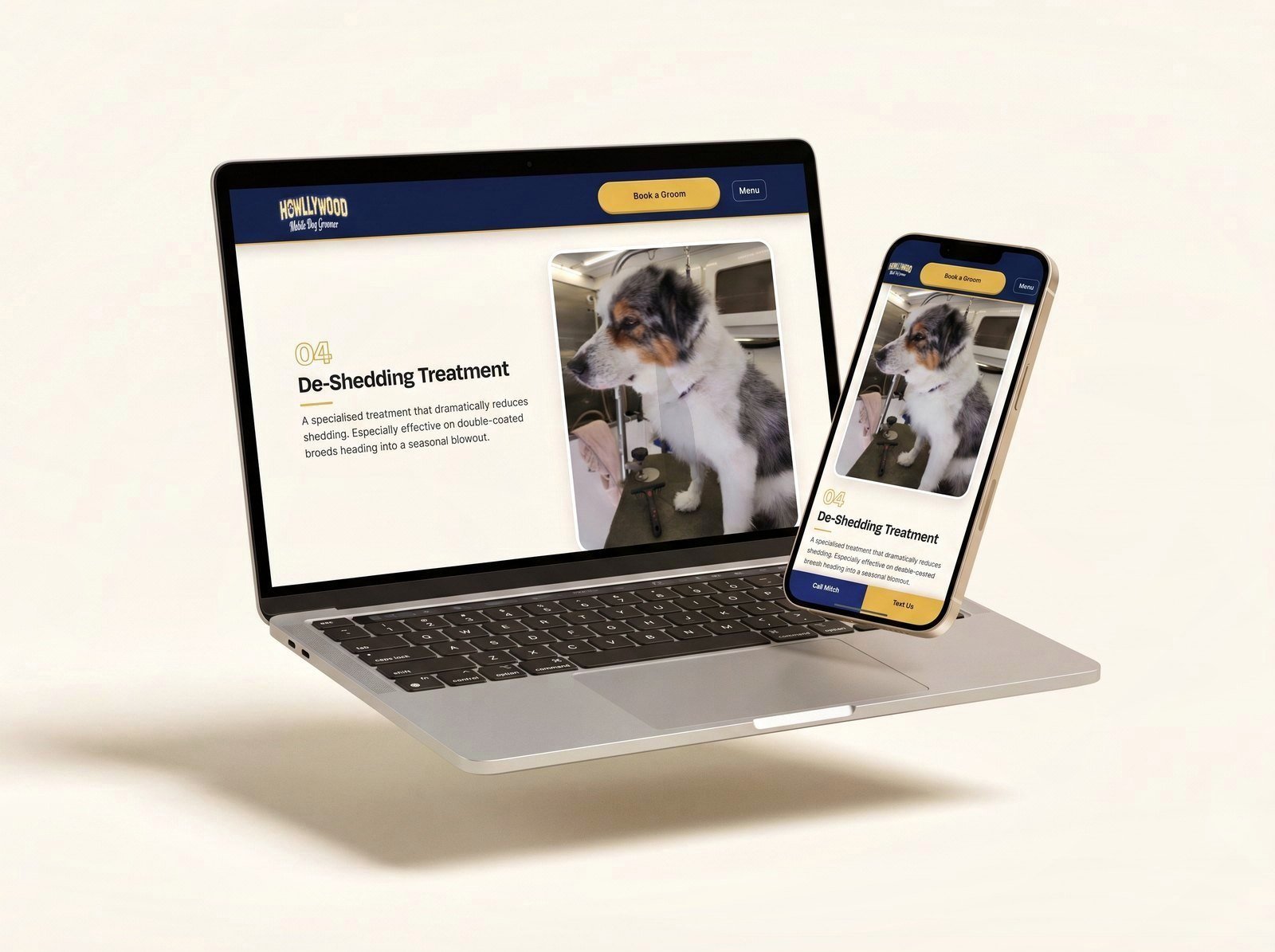 Howllywood website on a floating laptop